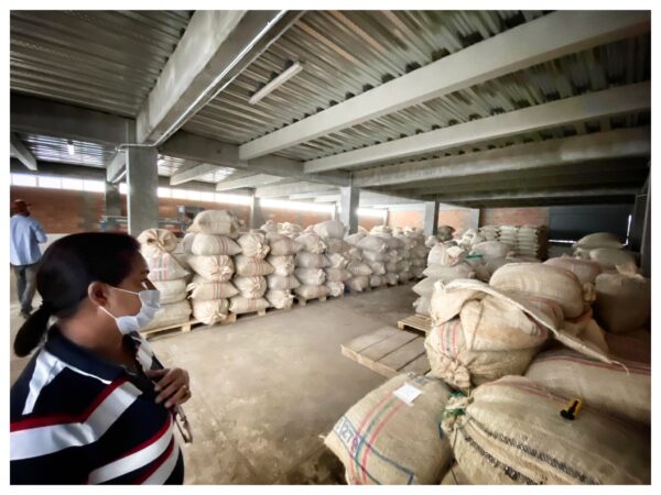 Well ventilated Cacao storage warehouse