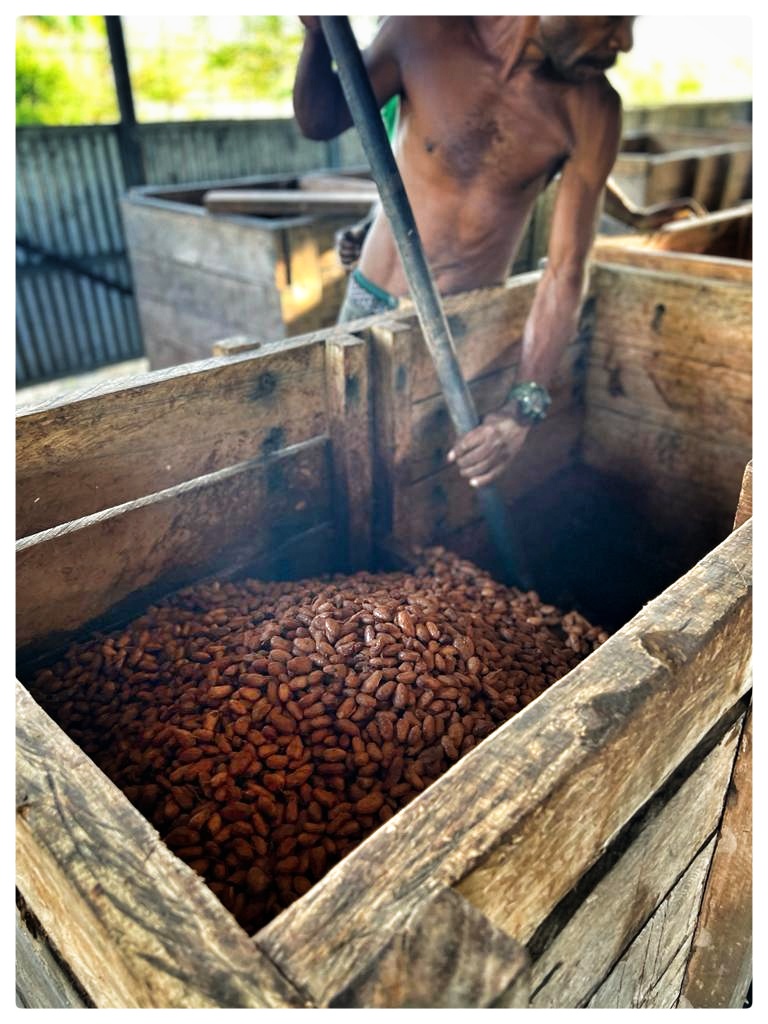 GrandSur Products - Cacao grains durables